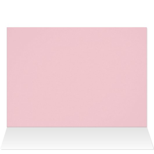 ミシガンハート冬林 (内部横(上))