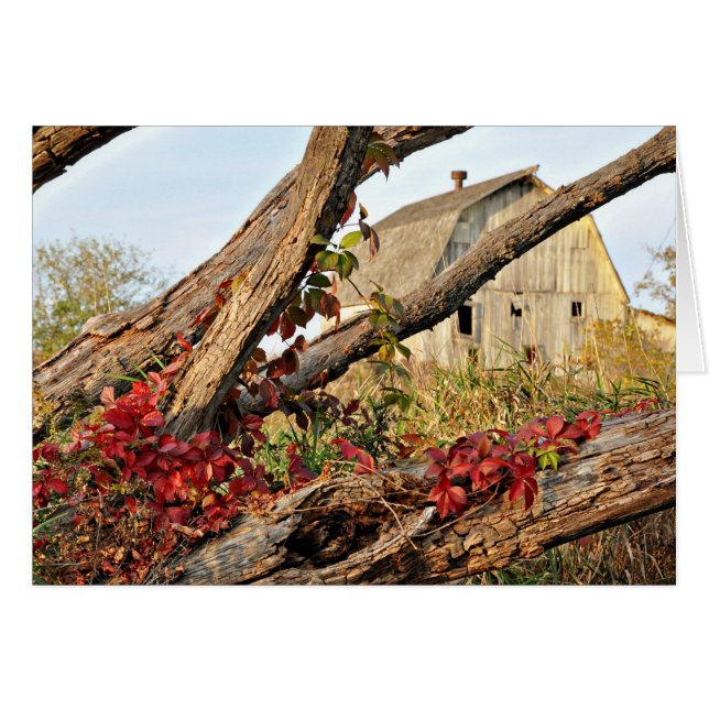 ミシガンバーンアンド秋カラー (正面横)