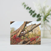 ミシガンバーンアンド秋カラー ポストカード (スタンド正面)