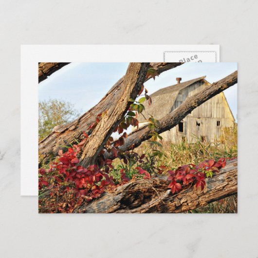 ミシガンバーンアンド秋カラー ポストカード (正面/裏面)