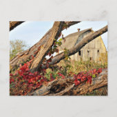 ミシガンバーンアンド秋カラー ポストカード (正面)