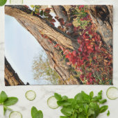 ミシガンバーンイン秋 キッチンタオル (折り畳み)