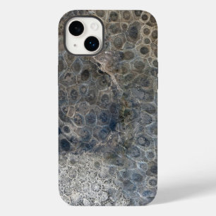 ミシガンペトスキーストーンデザイン Case-Mate iPhone 14 PLUSケース