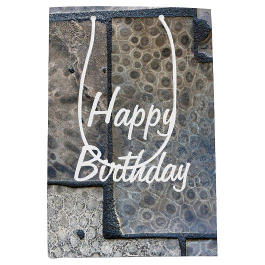 ミシガンペトスキーストーン誕生日 ミディアムペーパーバッグ (正面)