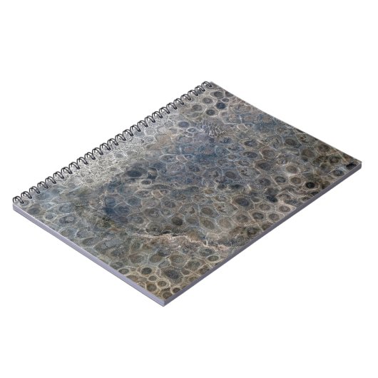 ミシガンペトスキー石模様 ノートブック (左側)