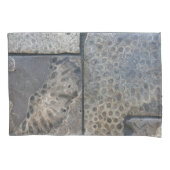 ミシガンペトスキー石模様 枕カバー (正面左)