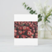 ミシガンリンゴ ポストカード (スタンド正面)