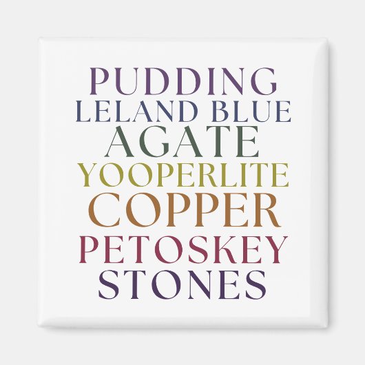 ミシガンロックハウンドアゲートペトスキーストーンマジント マグネット (正面)