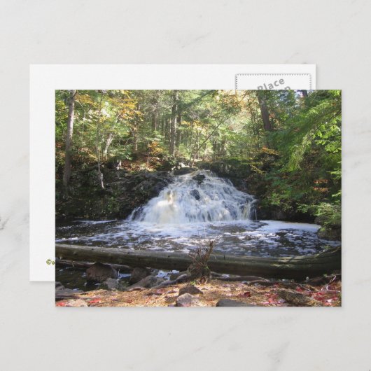 ミシガンワイルドネス滝はがき ポストカード (正面/裏面)