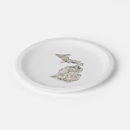 ミシガンヴィンテージ写真マップ紙パーティープレート ペーパープレート (アングル)