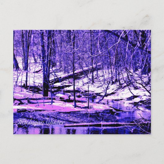 ミシガン冬 ポストカード (正面)
