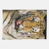 ミシガン動物園のトラ キッチンタオル (横)
