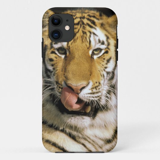 ミシガン動物園のトラ Case-Mate iPhoneケース (裏面)