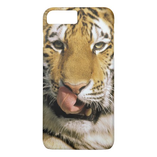 ミシガン動物園のトラ Case-Mate iPhoneケース (裏面)