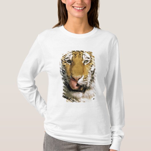ミシガン動物園のトラ Tシャツ (正面)