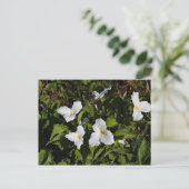 ミシガン半島の上部半島 ポストカード (スタンド正面)