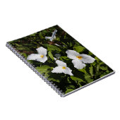 ミシガン半島上部のグランジフロラム ノートブック (右側)