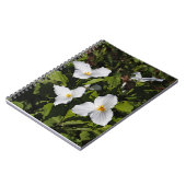 ミシガン半島上部のグランジフロラム ノートブック (左側)