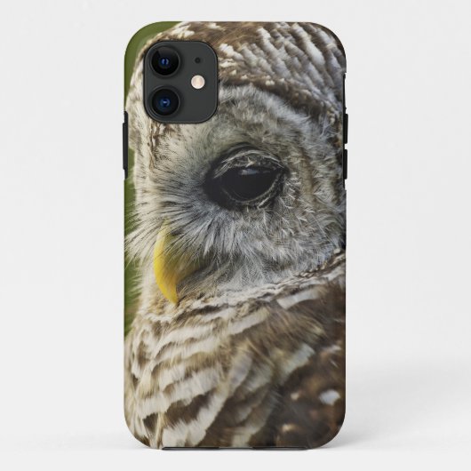 ミシガン州のオビヒメフクロウ、Strix varia Case-Mate iPhoneケース (裏面)