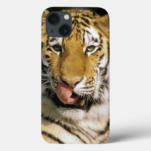 ミシガン州のトラの動物園 Case-Mate iPhoneケース (裏面)