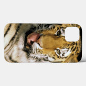 ミシガン州のトラの動物園 Case-Mate iPhoneケース (裏面 (横))