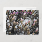 ミシガン州の春 ポストカード (正面/裏面)