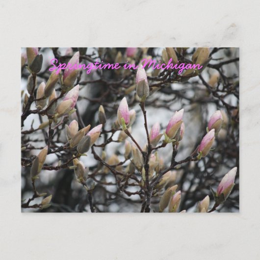 ミシガン州の春 ポストカード (正面)