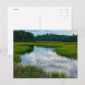 ミシガン州の風景はがき ポストカード (正面/裏面)