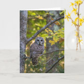ミシガン州アルジャー郡の秋のオオフクロウ(Barred Owl) カード (黄色い花)