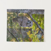 ミシガン州アルジャー郡の秋のオオフクロウ(Barred Owl) タペストリー (正面(横))
