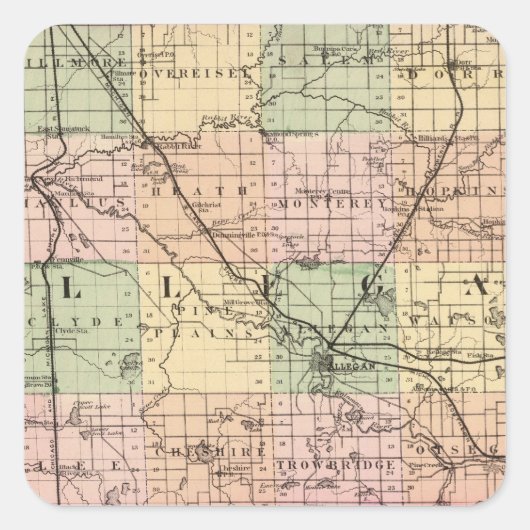 ミシガン州アレガン郡の地図 スクエアシール (正面)