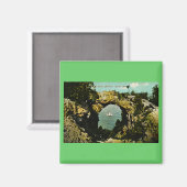 ミシガン州アーチロックマッキナック島 マグネット (正面/裏面)