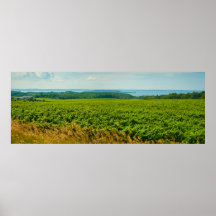 ミシガン州オールドミッション半島