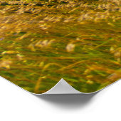 ミシガン州オールドミッション半島 ポスター (角)