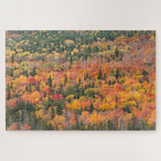 ミシガン州キウィナウ半島の紅葉 ジグソーパズル (横)