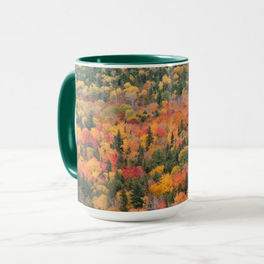 ミシガン州キウィナウ半島の紅葉 マグカップ (正面左)