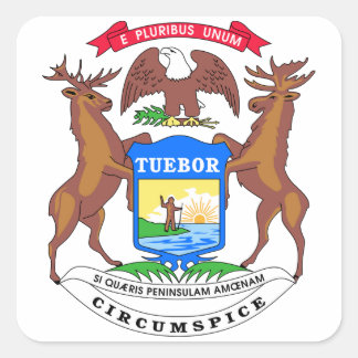 ミシガン州シール スクエアシール