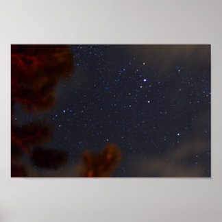 ミシガン州スターリーナイト ポスター