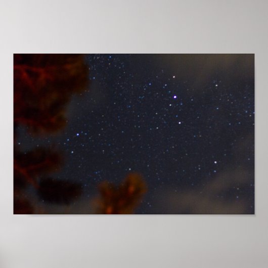 ミシガン州スターリーナイト ポスター (正面)