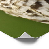 ミシガン州ストリックスバリヤ州バーレッド・フクロウ ポスター (角)