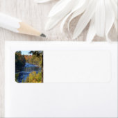 ミシガン州タオメノン秋 ラベル (インサイチュ)