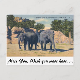 ミシガン州デトロイト動物園 ポストカード