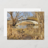 ミシガン州トレントン，エリザベスパーク ポストカード (正面/裏面)