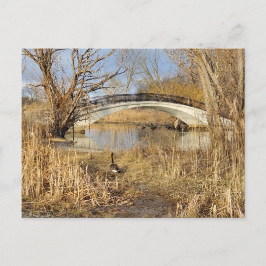 ミシガン州トレントン，エリザベスパーク ポストカード (正面)