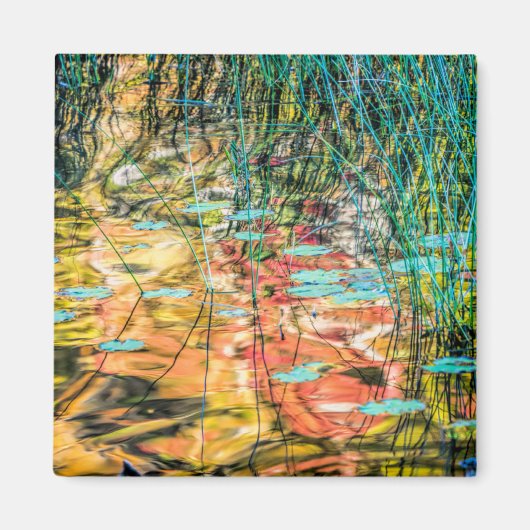 ミシガン州ヒアワタ国有林のカウンシル湖 マグネット (正面)