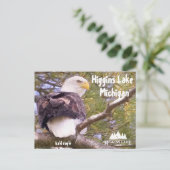 ミシガン州ヒギンズ湖のハゲワシ シーズンポストカード (スタンド正面)