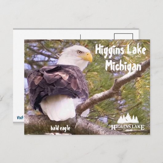 ミシガン州ヒギンズ湖のハゲワシ シーズンポストカード (正面/裏面)