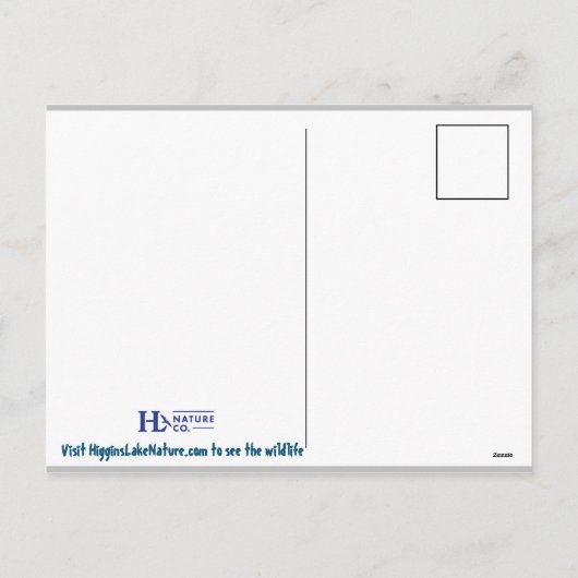 ミシガン州ヒギンズ湖のハゲワシ シーズンポストカード (裏面)