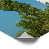 ミシガン州フランクフォートのポイントベッツィライトハウス ポスター (角)