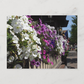 ミシガン州フラankenムース ポストカード